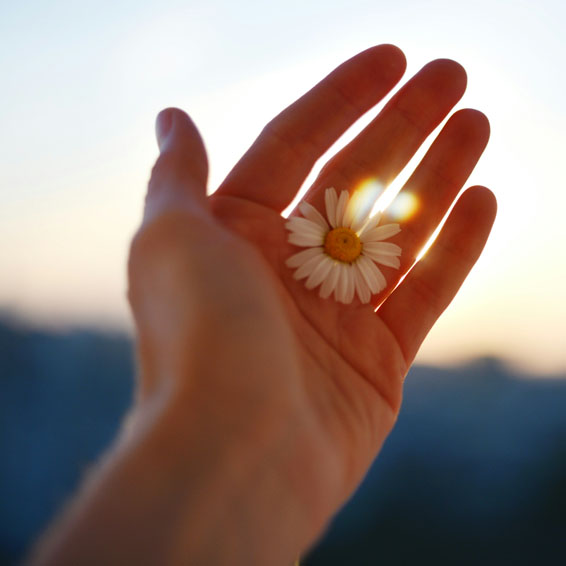 Celtic Soul Midwife Apprenticeship is a structured experiential set of courses