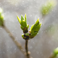 The alchemy of transformation by inspiring people through experiential learning